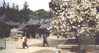 Frhling im Tempelbezirk